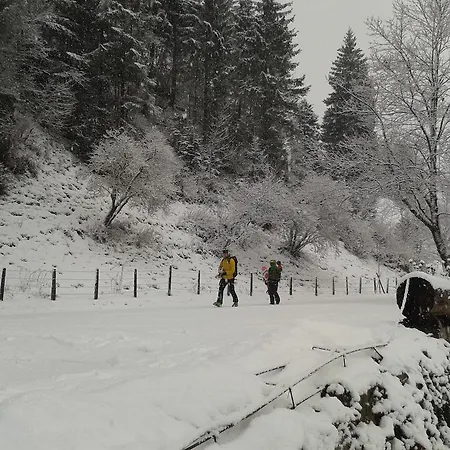 Apartment Paul-s Bad Hofgastein