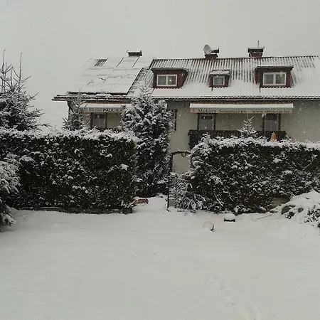 Paul-s Apartman Lägenhet Bad Hofgastein